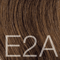 E2A